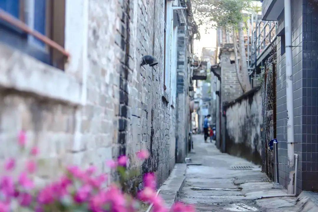 深圳八卦网红美食节在哪举行-_沙井金蚝美食民俗文化节活动_第十八届宝安区沙井金蚝美食民俗文化节